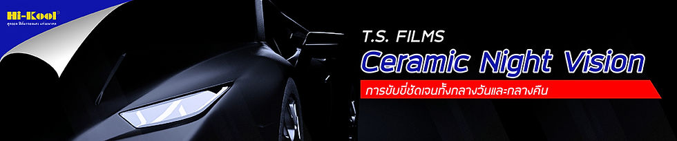 T.S. FILMS Cover-13.jpg