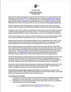 Ethiopia Report Capture.PNG