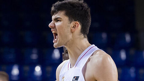 vukcevic.jpg