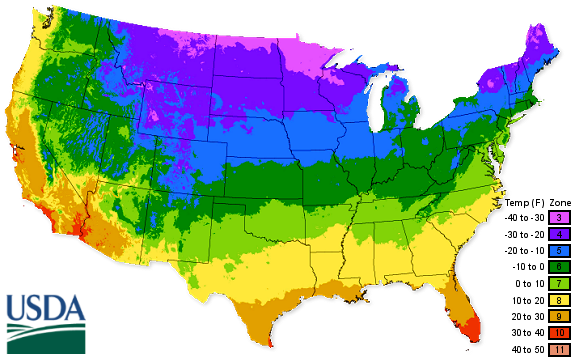 A visual representation of the USDA's zone map, indicating the ideal growing zones for various mulberry tree cultivars, helping gardeners choose the best varieties for their climate