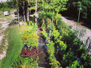 Our Nursery is Growing!