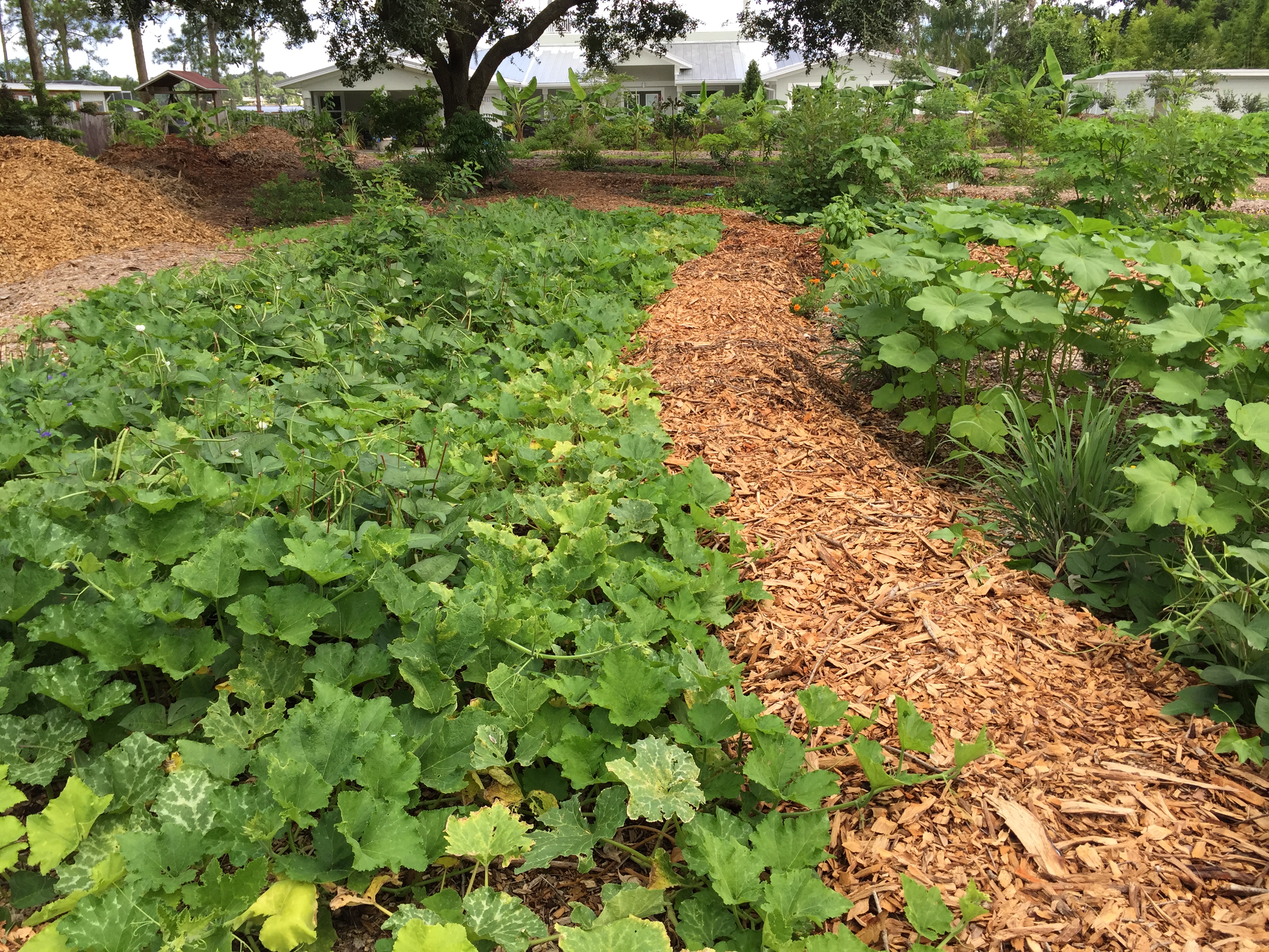 Permaculture Food Forest Design Greendreams Permaculture Food Forest Design Greendreams