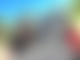 Donated Bikes to the Youth