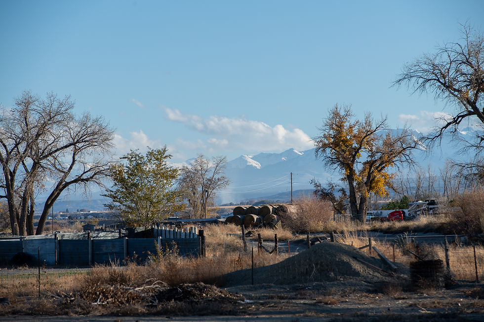 Hwy 50 Montrose Acreage-42.jpg