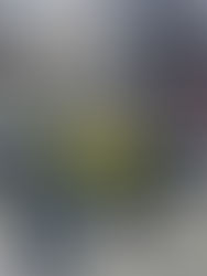 Reporters Document Recent SF Sweeps and the Meaning of WeSearch