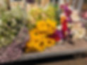 fleurs rungis