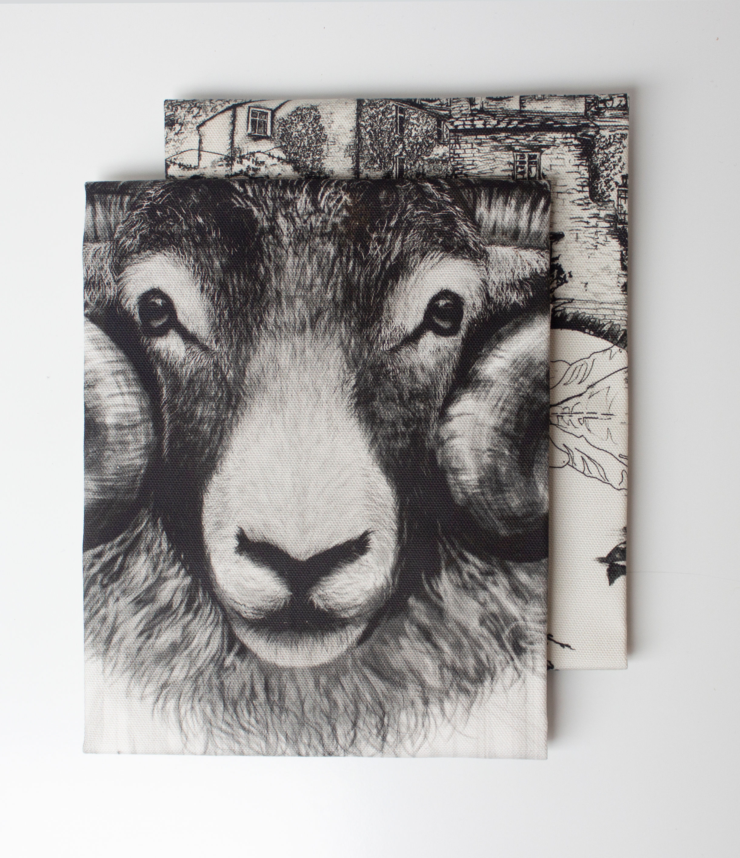 DUO Lake District & Swaledale Ram | Tea Towel Set (2)