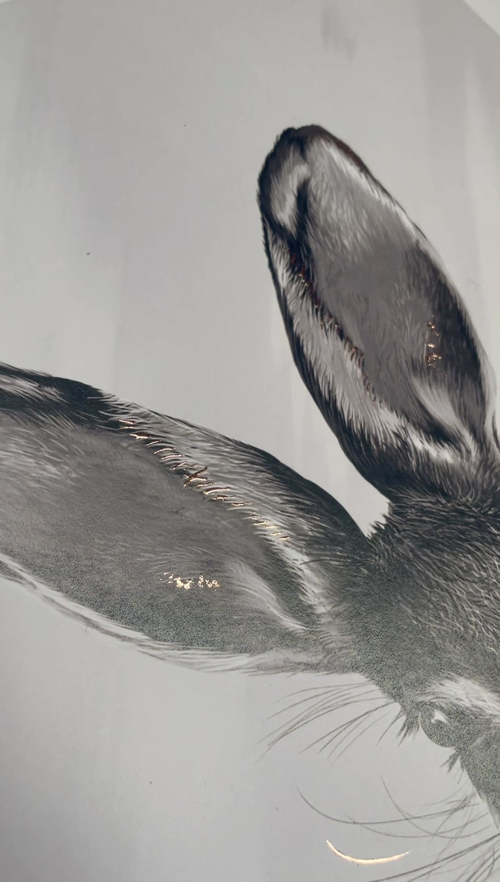 Thumbnail: Heather Hare | Illustrated Print