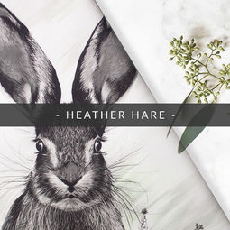 RHIANNE SIAN ILLUSTRATED HARE HAND FOILED