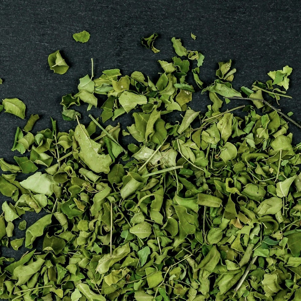 Miniaturbild: Moringa BIO Tee