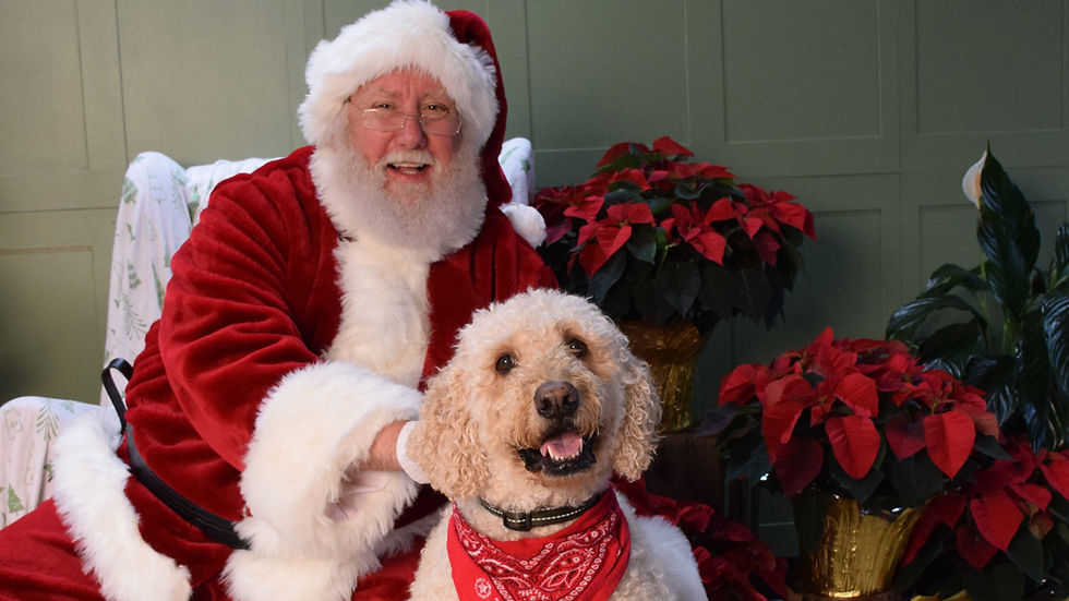 Paws With Claus