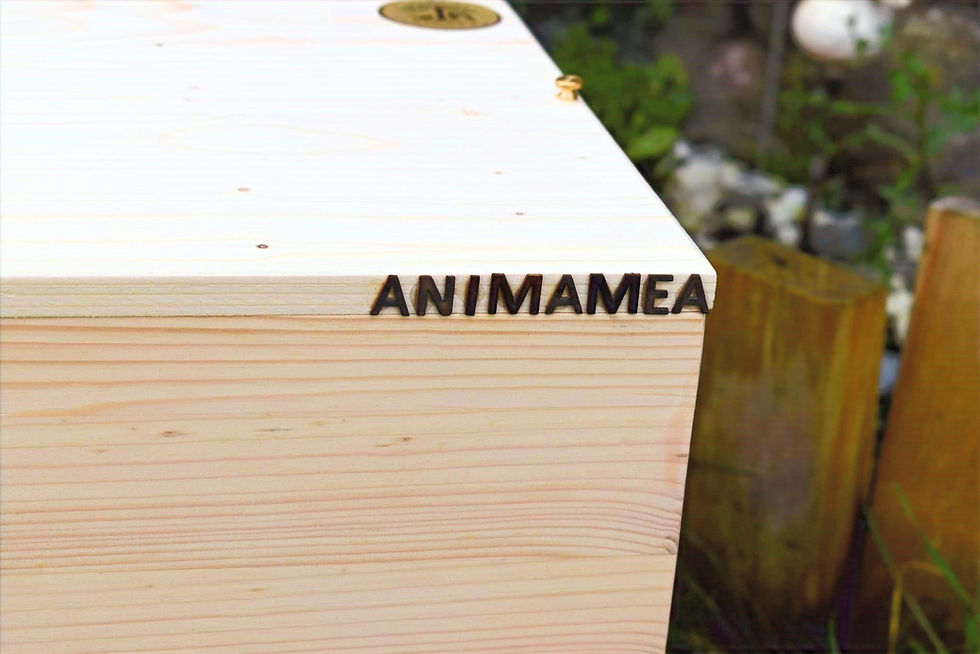 Thumbnail: Standard Coffin