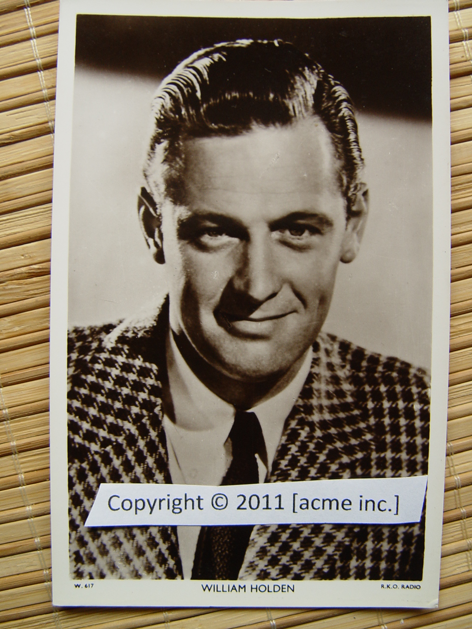 http://www.acme-inc.co.uk/websitepix/DSC050217.JPG