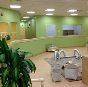 Fully renovated daycare freshly painted in green
