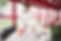 Restaurant-les-Alaniers-bourg-en-bresse-
