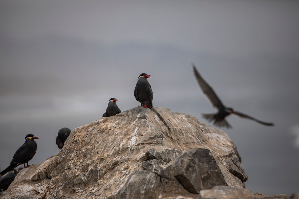PLAYA CAVERO 018.jpg