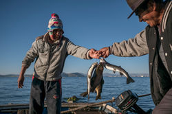 The Quechuas on the blue mantle of the Andes 005
