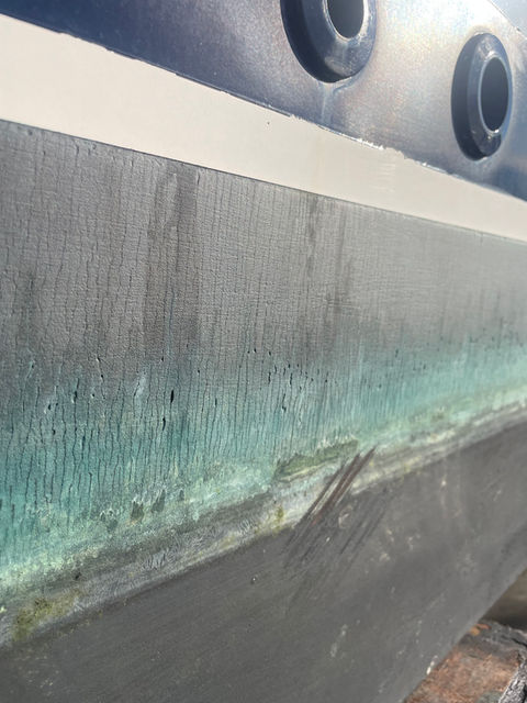 Failed antifoul along waterline