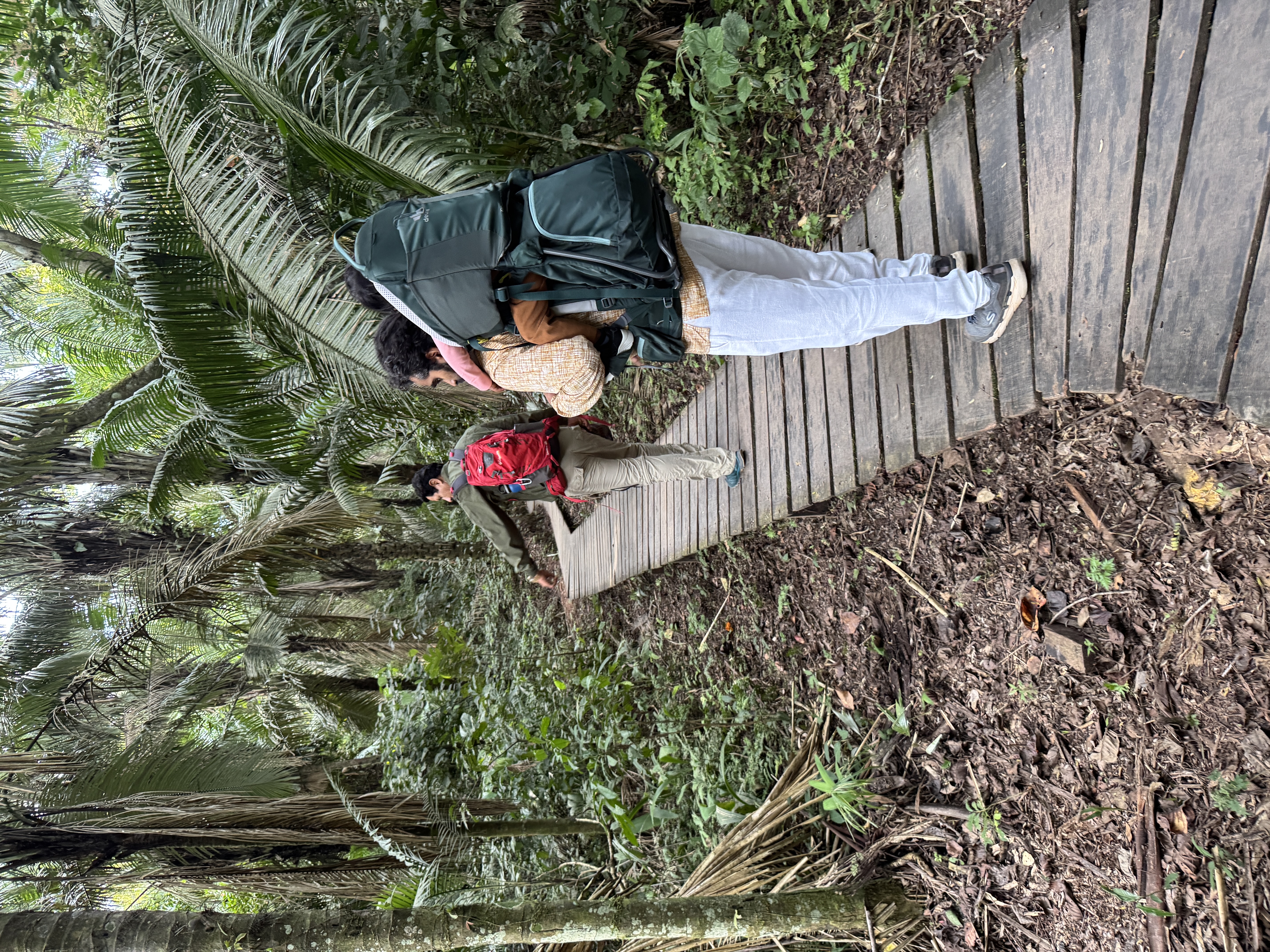 Walking through Tambopata Reserve