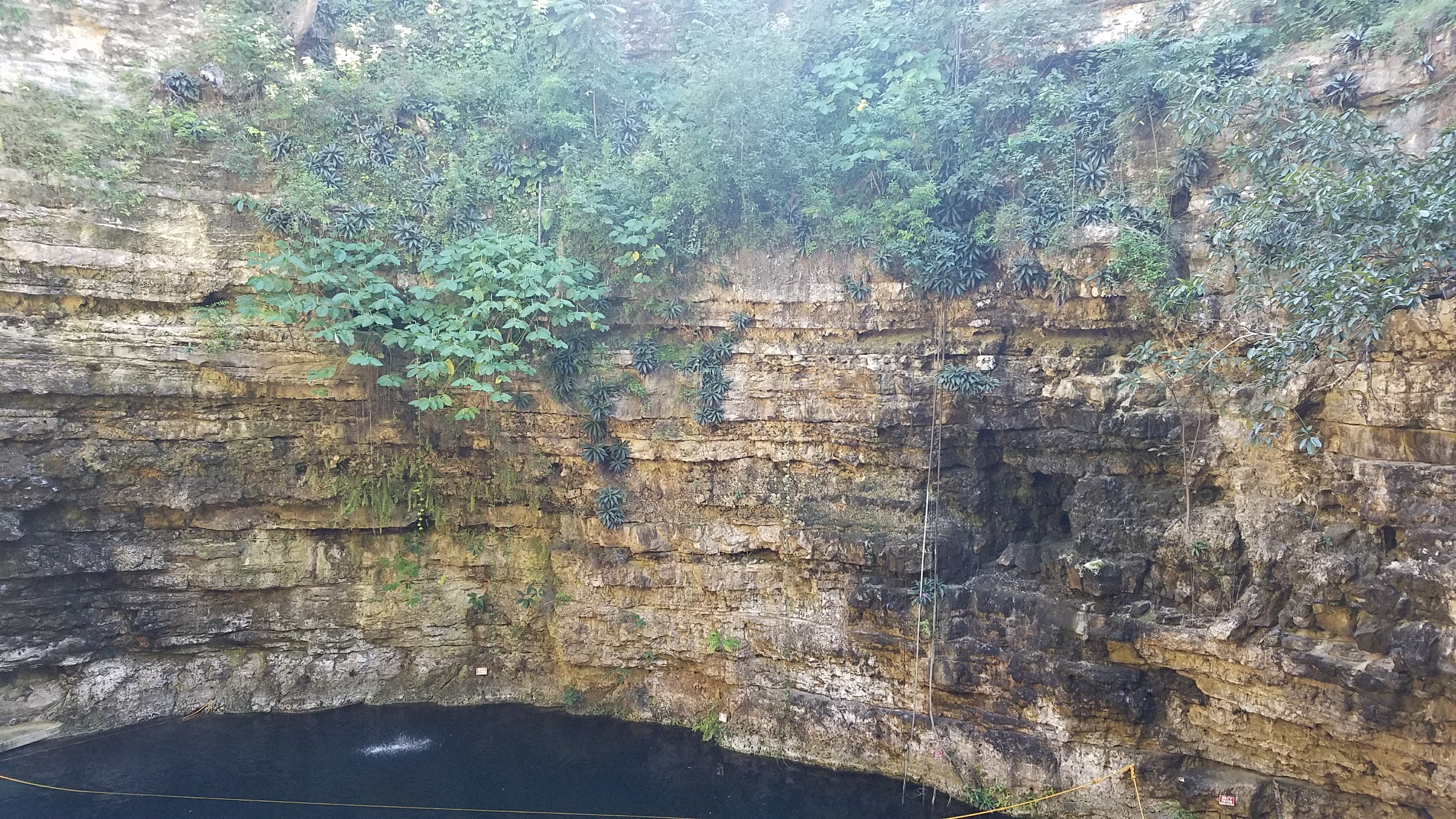 Cenote View