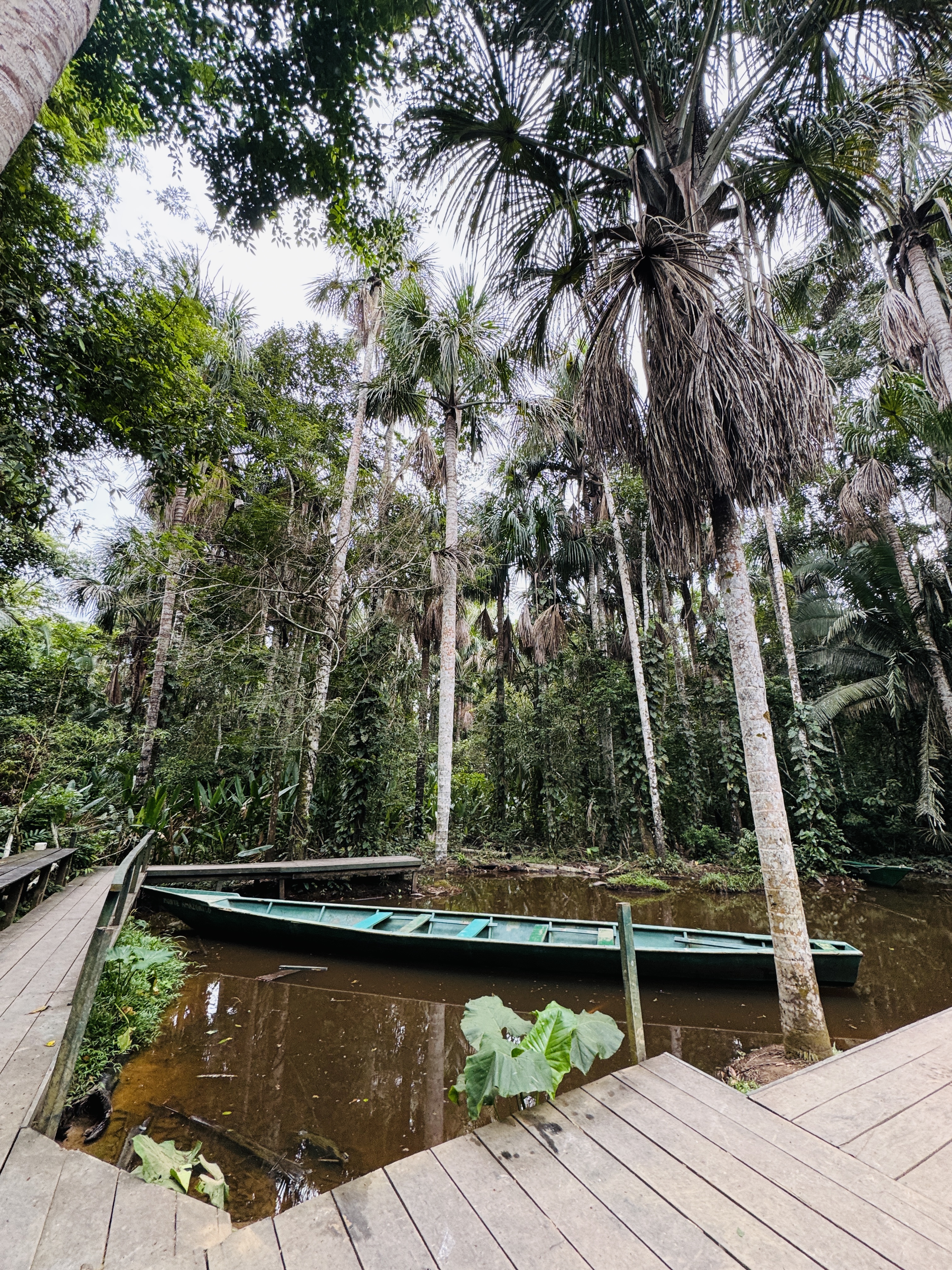 Canoe Ride in Lake Sandoval