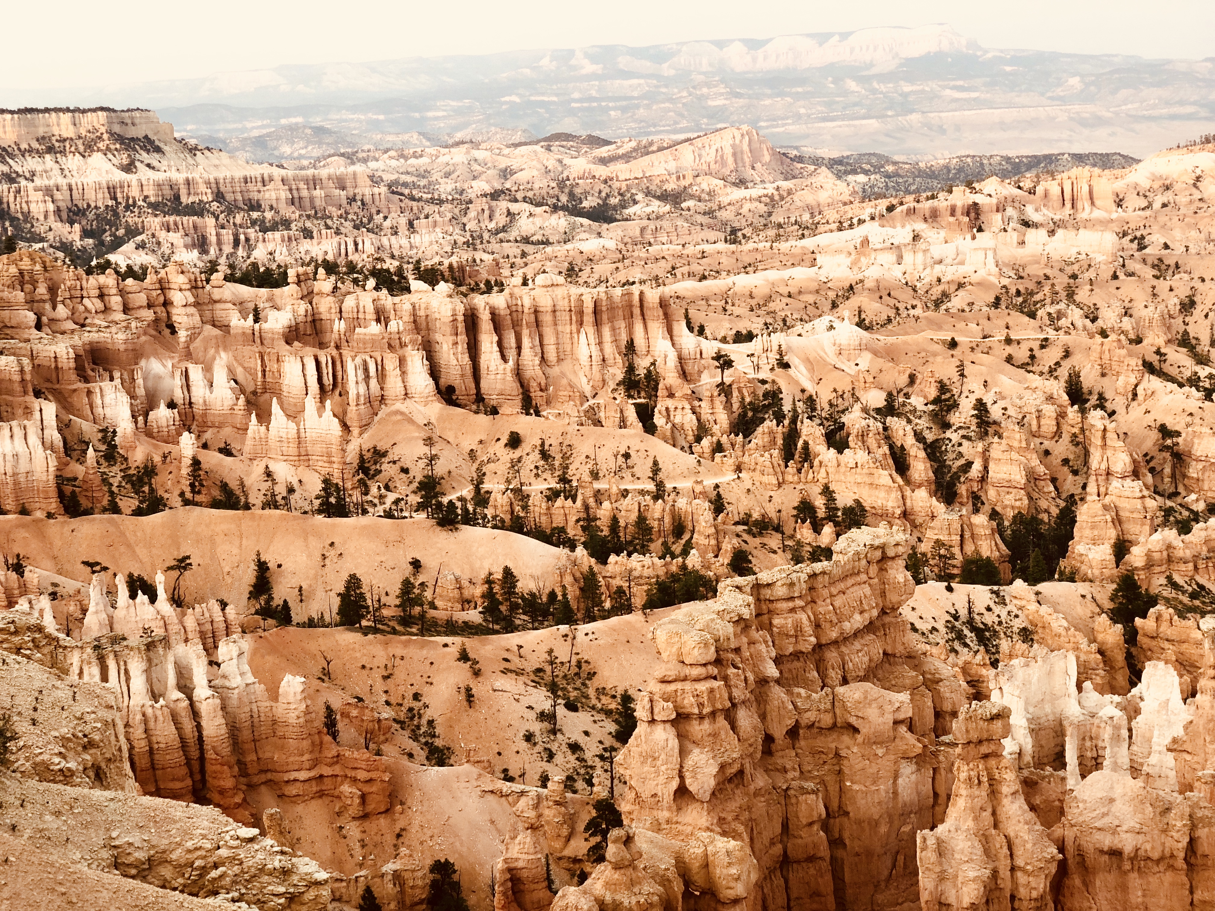 Rim Trail