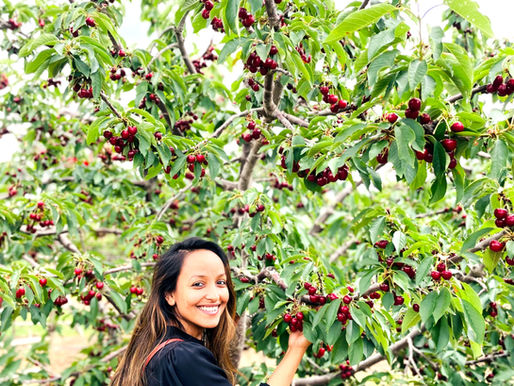California’s fruit picking experience