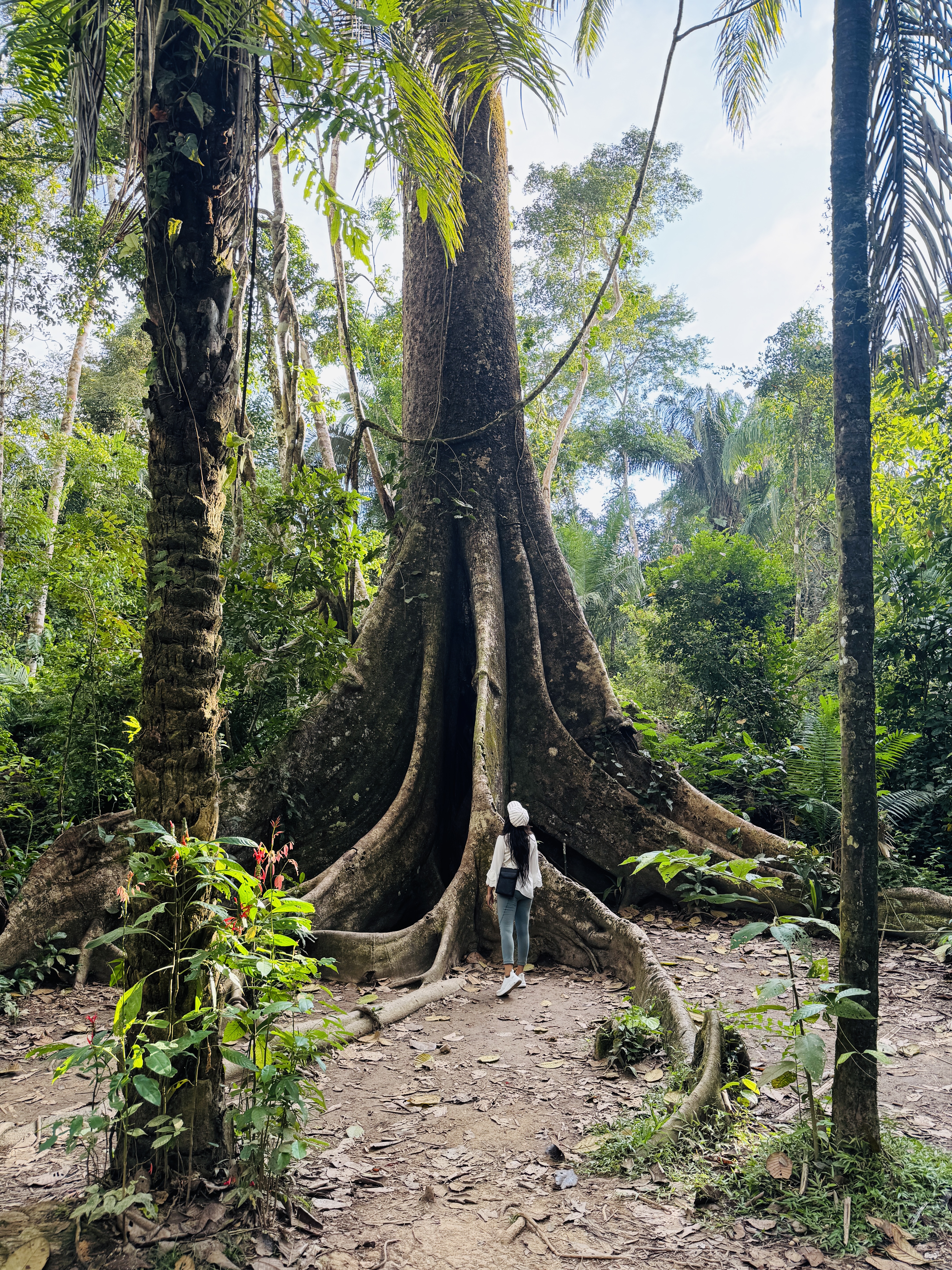 Peruvian Amazon: Puerto Maldonado