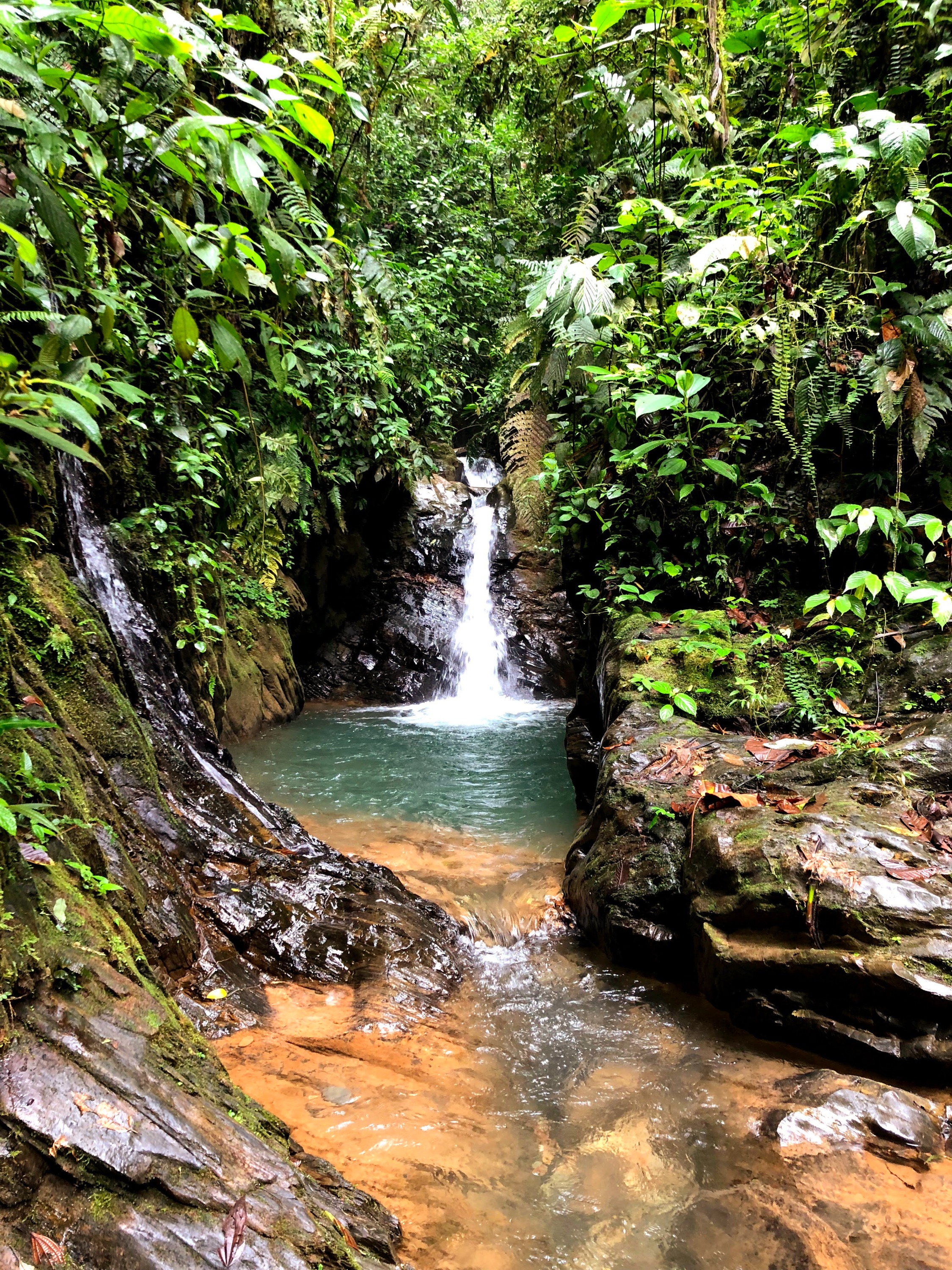 Ecuador – Luxurious Jungle Experience