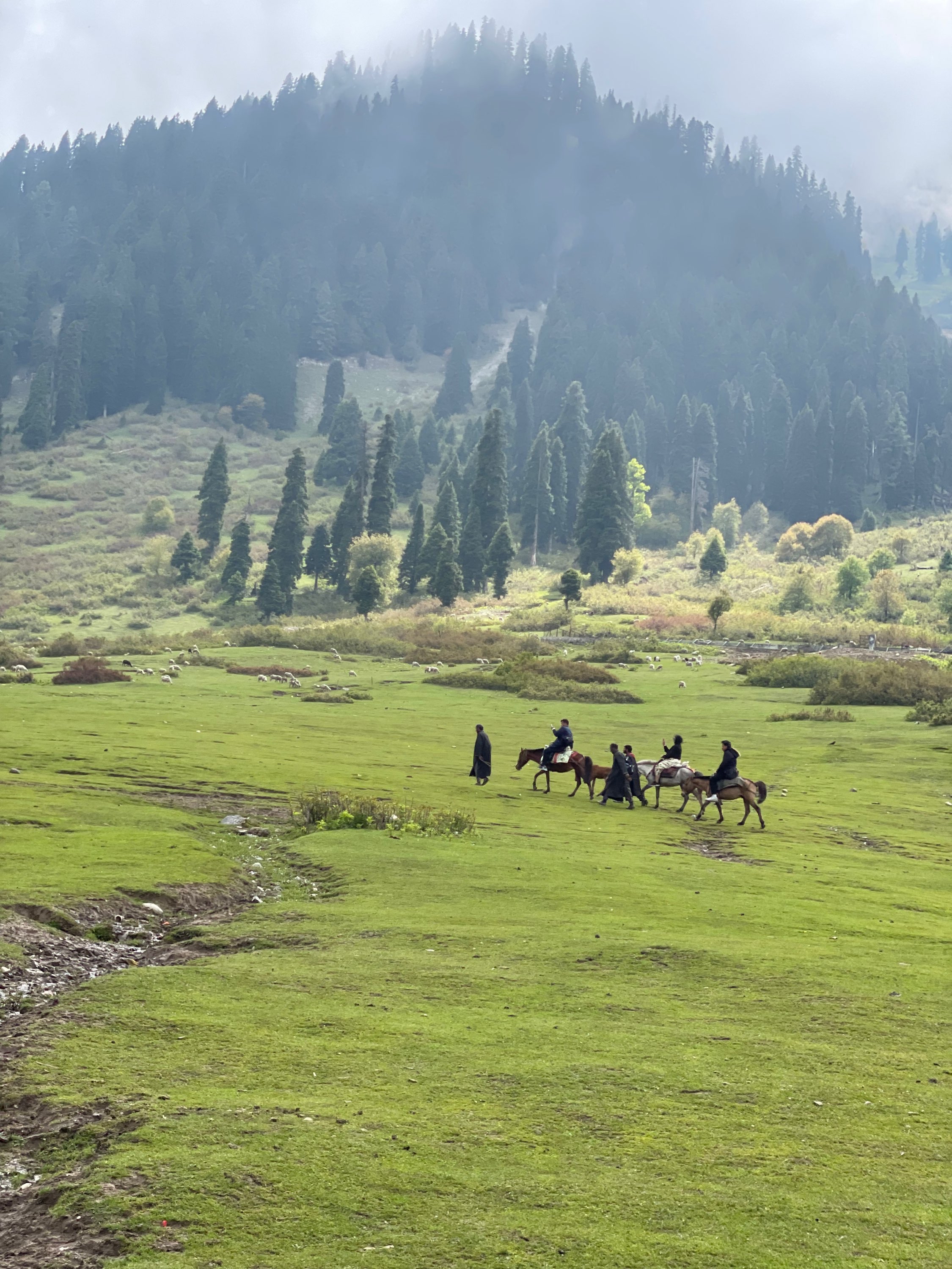 Kashmir : Paradise on Earth