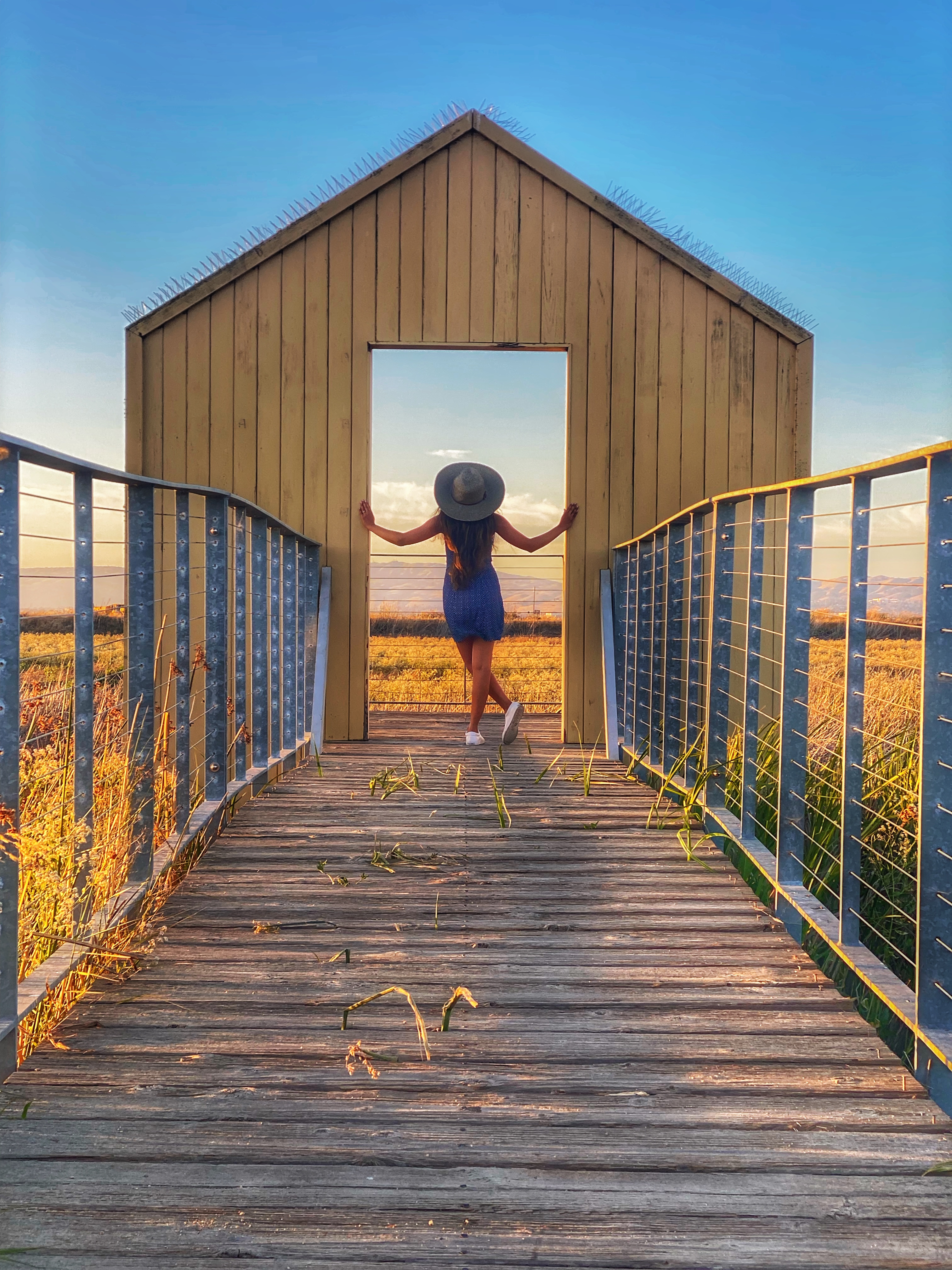 Alviso Marina : Santa Clara Sunset