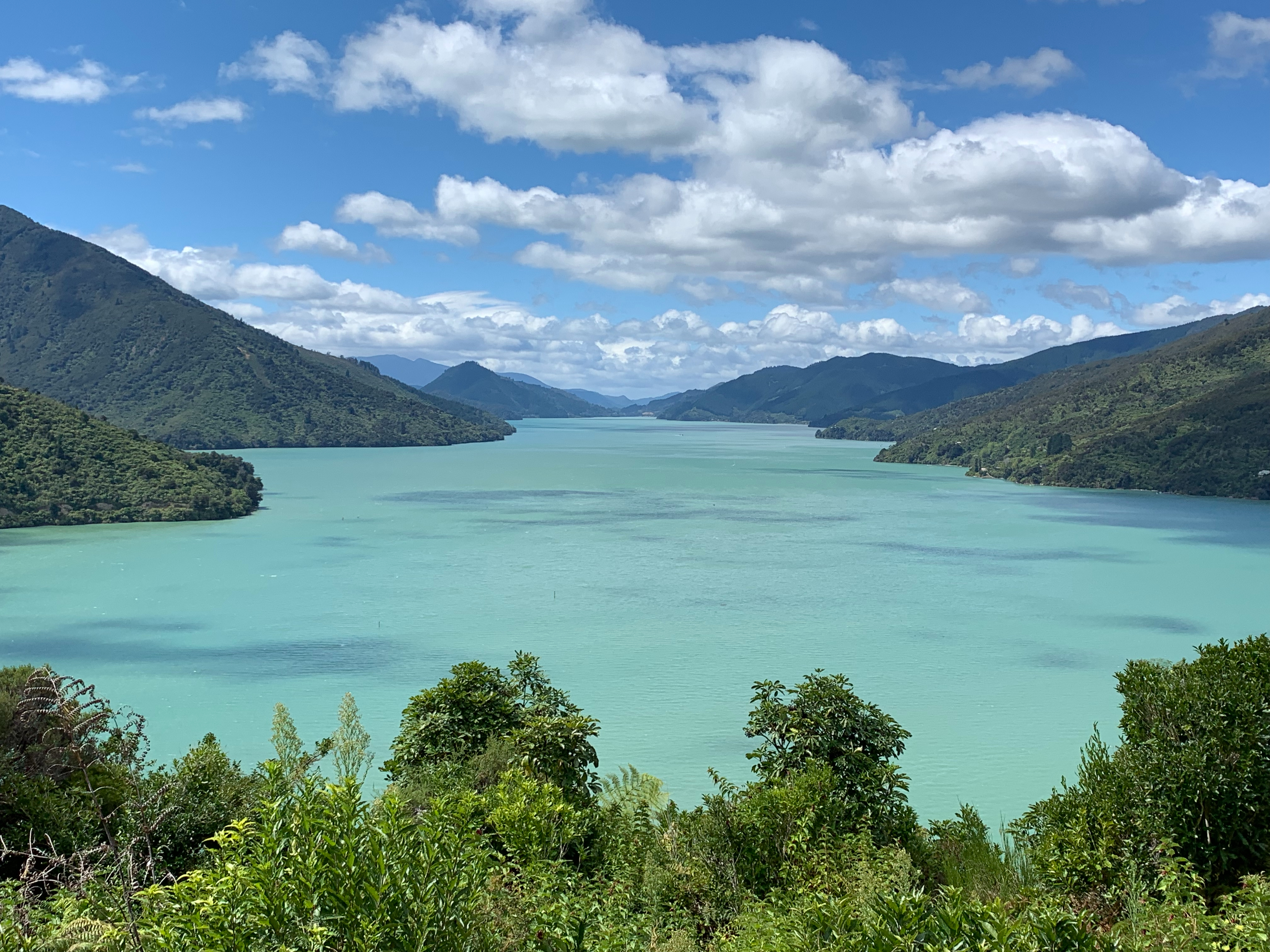 Marlborough, Nelson & West Coast of South Island- Untamed Wilderness of NZ
