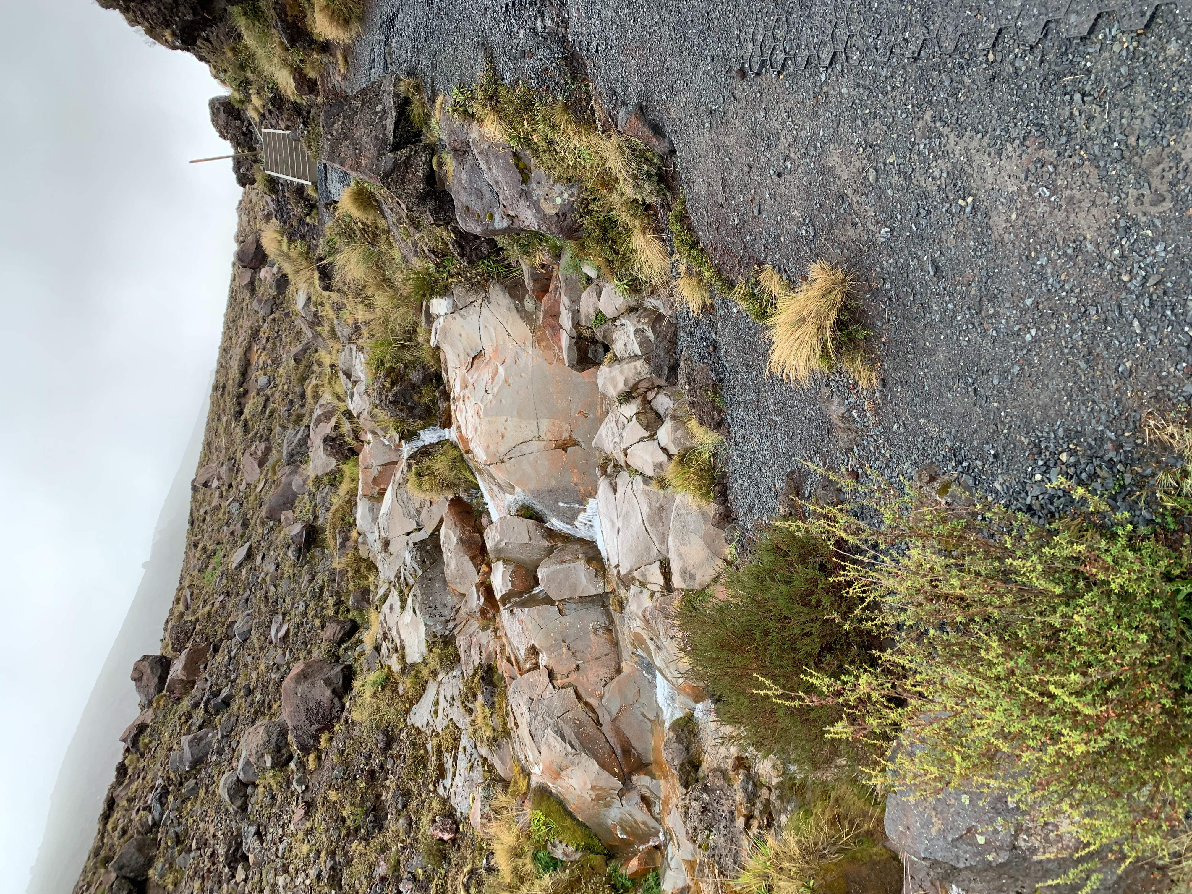 Climbing the rocks
