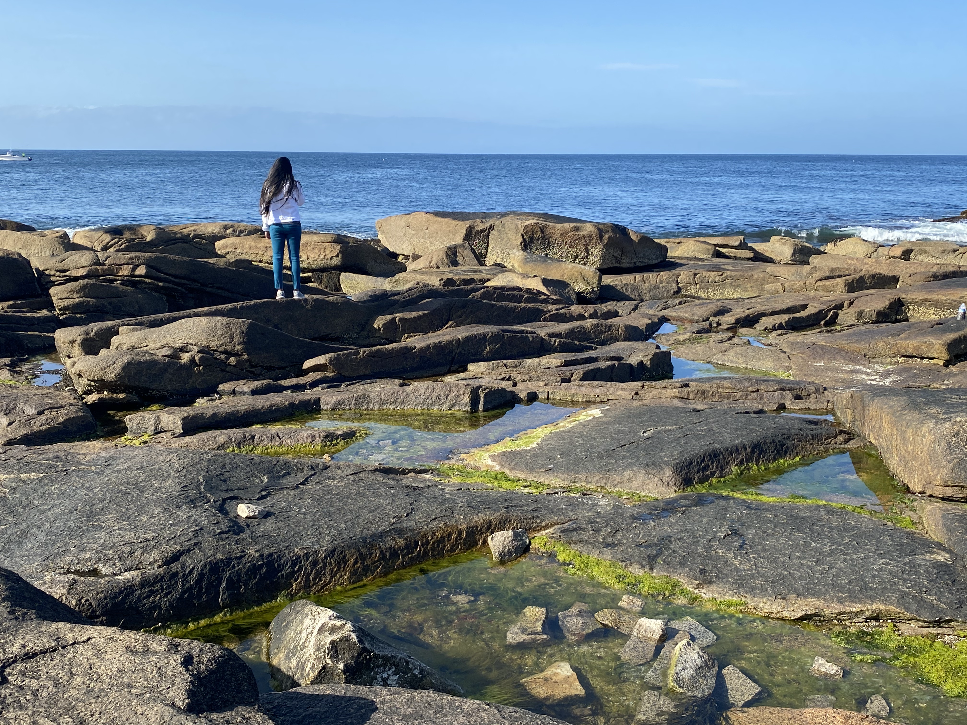 Halibut Point State Park