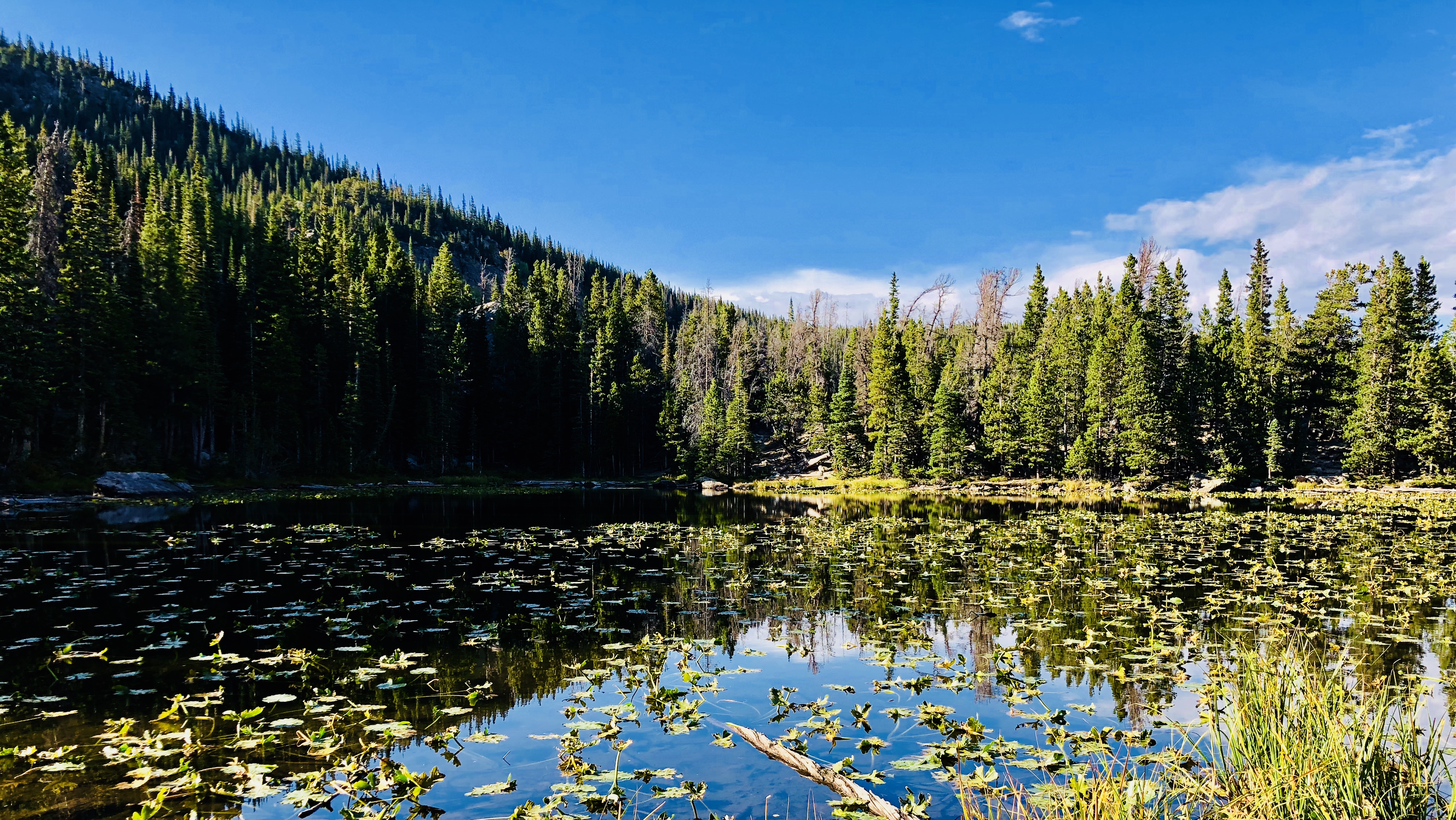 Nymph Lake