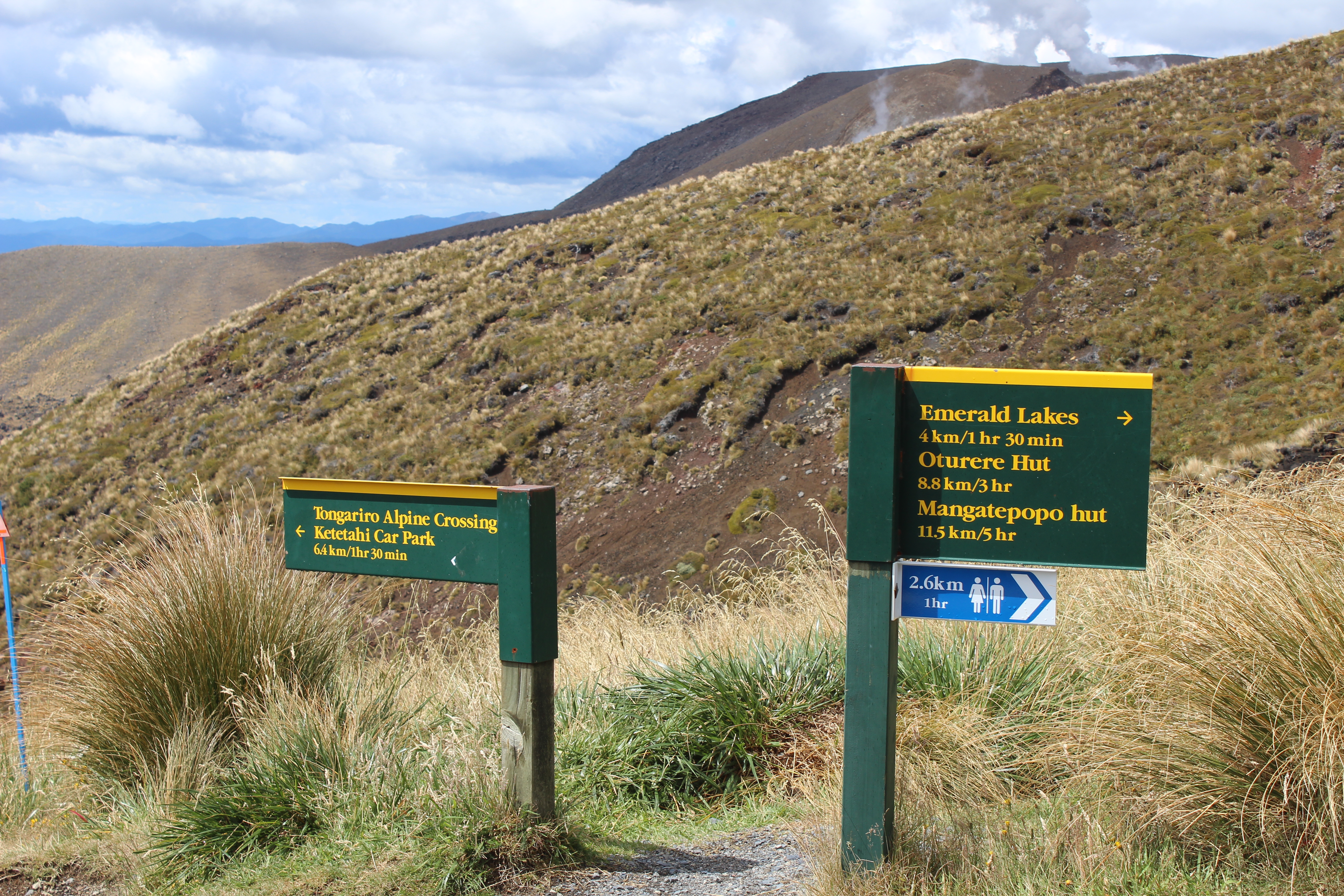 En route to Ketetahi Car Park