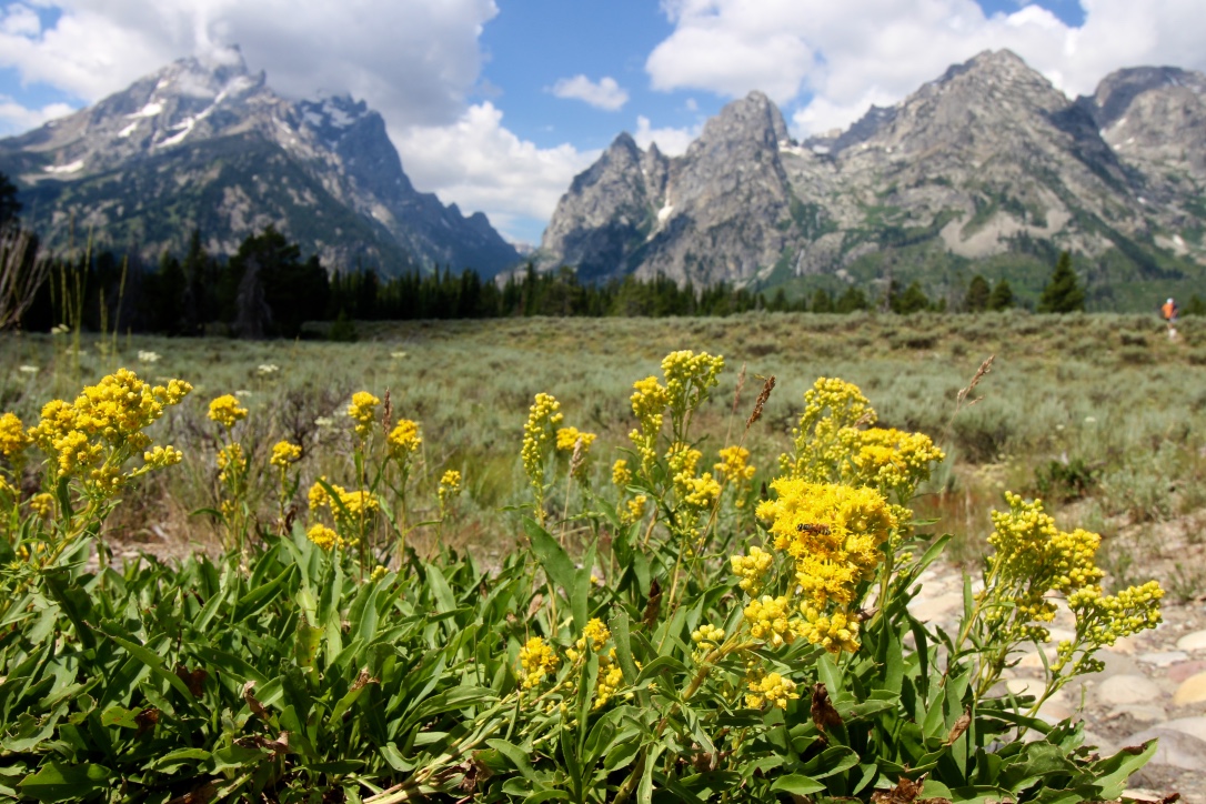 Grand Tetons National Park