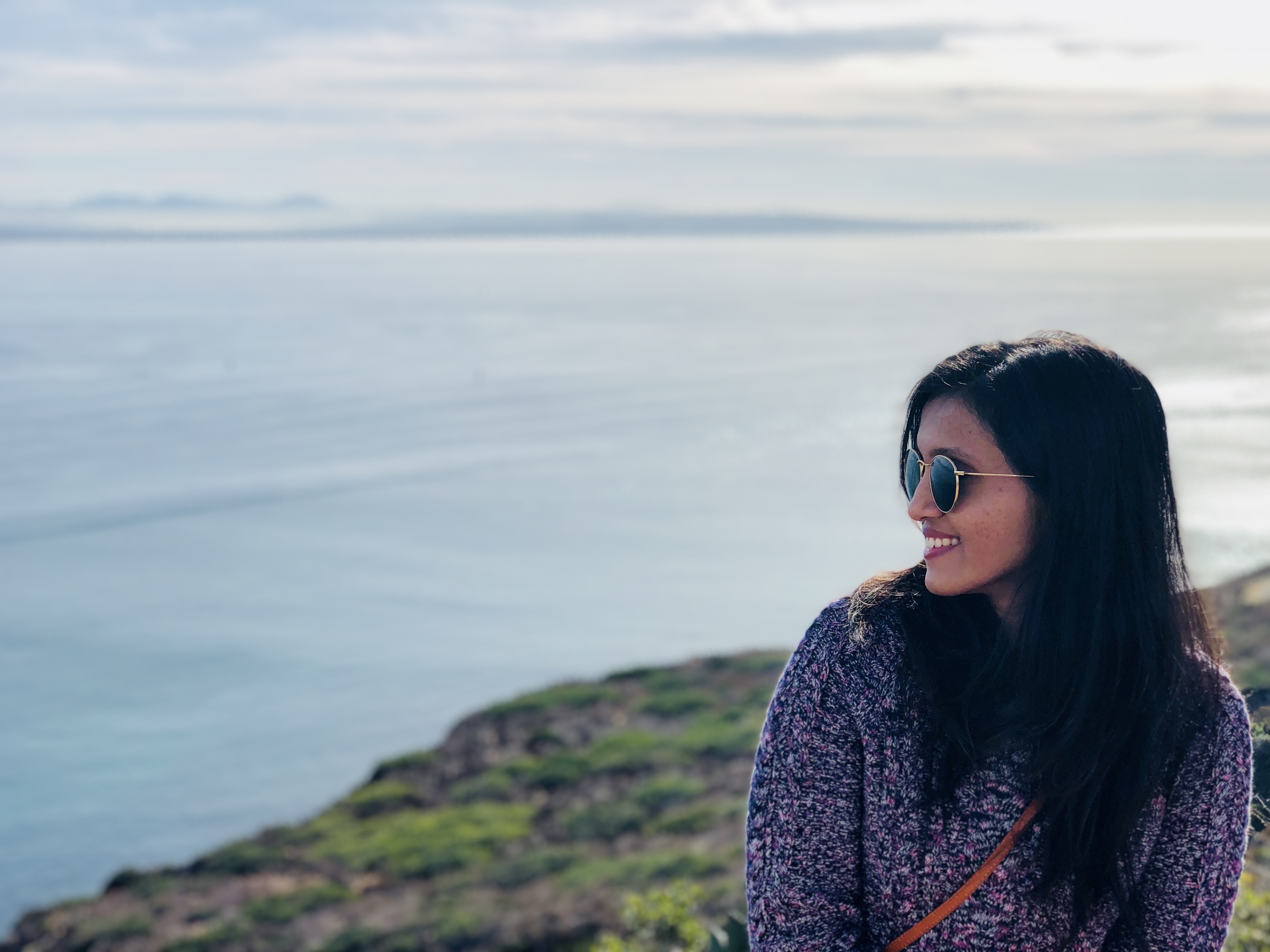 Enjoying the view