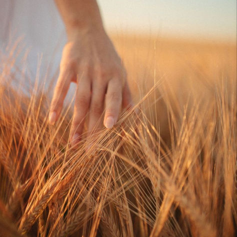 The Beauty of Full Surrender