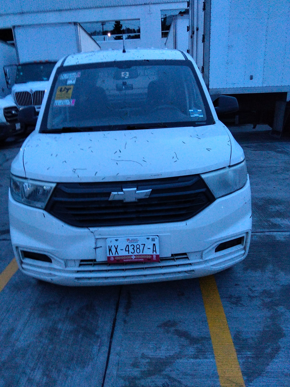 IMG20260915062013.jpg