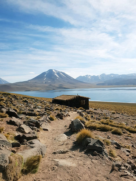 Lagune Miscanti, Atacama