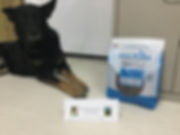 image1-2.jpeg