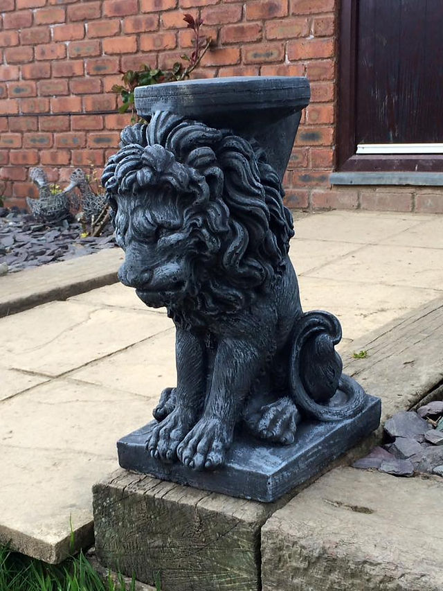 grr lion