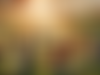 The Science Behind Yoga: How It Transforms the Mind and Body