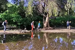 אלי אשכנזי 21_10_25.webp