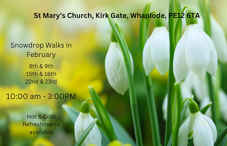 Snowdrop poster (3).png