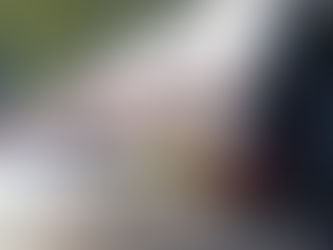 Was kostet der Tourismus