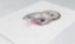 Thumbnail: Picasso Owl