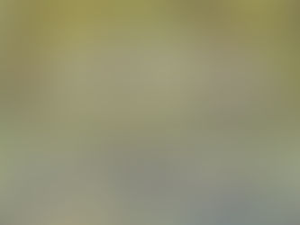 המוות חשוב לחיים