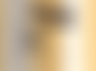 ימי שלישי עם מורי